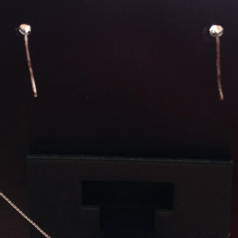 Matching set 20 in necklace and pierced earrings